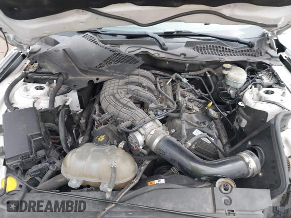 2017 Ford Mustang V6 с VIN 1FA6P8AM2H5202204, выставлен на аукционе IAAI как лот 41535371 с пробегом 138 752 миль миль и . История ставок и продаж доступна на DreamBid. Изображение 10.