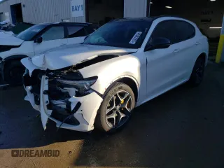 2020 Alfa Romeo Stelvio Ti z VIN ZASPAKBNXL7C93313, wystawiony jako Copart lot #46082005 z przebiegiem 42 508 mil mil oraz Szkoda całkowita • Salvage title. Historia ofert i sprzedaży dostępna na DreamBid. Obrazek 1.
