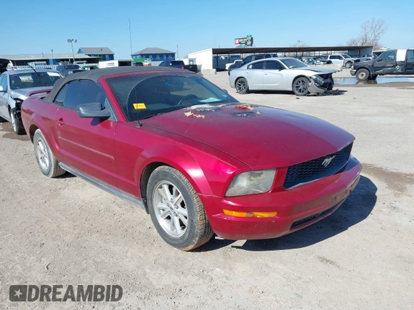 2006 Ford Mustang Standard with VIN 1ZVFT84N165244772, listed as a IAAI auction lot 41656994 with Not Provided miles and . Bid and sale history available at carsss.com. Image 1.