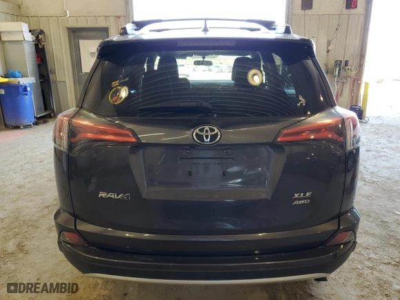 2016 Toyota RAV4 XLE with VIN 2T3RFREV5GW450084, listed as a Copart auction lot 48234635 with 123,008 mi miles and Salvage Title. Bid and sale history available at carsss.com. Image 6.
