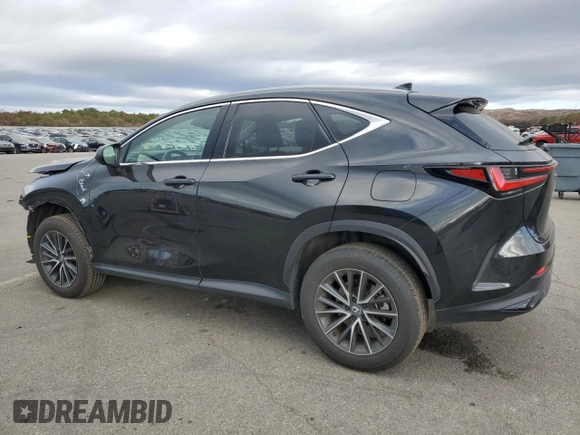 2024 Lexus NX with VIN 2T2AGCEZ7RC036212, listed as a Copart auction lot 77972234 with 11,899 mi miles and Salvage Title. Bid and sale history available at carsss.com. Image 2.