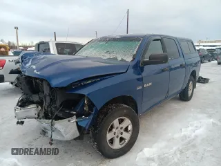 2009 Dodge 1500 SLT with VIN 1D3HV13T79S703796, listed as a Copart auction lot 45647695 with Not Provided miles and Salvage Title. Bid and sale history available at carsss.com. Image 1.