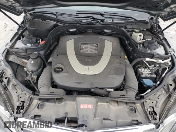2010 Mercedes-Benz E 550 Luxury with VIN WDDHF7CB1AA106112, listed as a Copart auction lot 88675285 with 155,047 mi miles and Salvage Title. Bid and sale history available at DreamBid. Image 11.
