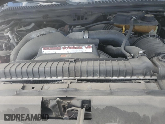 2006 Ford F-250 XL with VIN 1FTSW20P56EC22366, listed as a Copart auction lot 58015465 with 303,484 mi miles and Clean title. Bid and sale history available at DreamBid. Image 11.