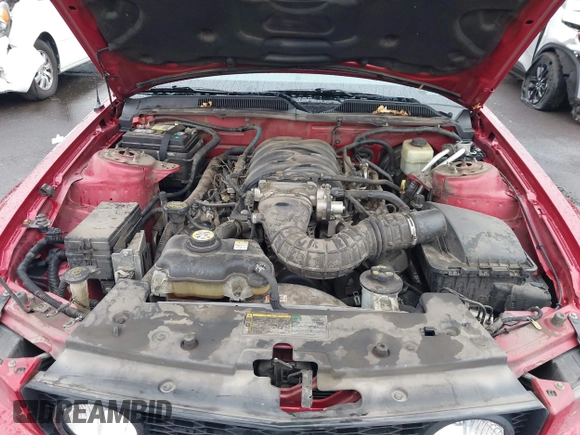 2006 Ford Mustang GT Deluxe with VIN 1ZVHT85H265254423, listed as a IAAI auction lot 41482622 with 122,049 mi miles. Bid and sale history available at carsss.com. Image 10.
