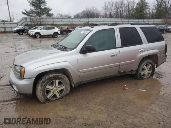2005 Chevrolet TrailBlazer LT with VIN 1GNDT13S052362358, listed as a Copart auction lot 81550014 with 258,429 mi miles and Clean Title. Bid and sale history available at DreamBid. Image 1.