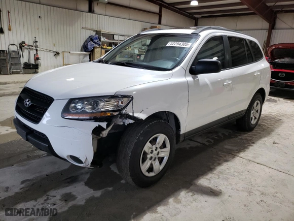 2009 Hyundai Santa Fe GLS with VIN 5NMSG13D09H279116, listed as a Copart auction lot 52294305 with 220,930 mi miles and Salvage Title. Bid and sale history available at carsss.com. Image 1.
