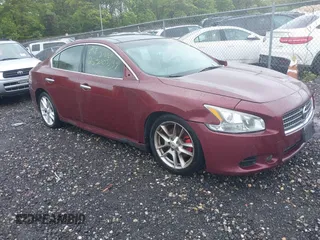 2010 Nissan Maxima SV with VIN 1N4AA5AP7AC824822, listed as a IAAI auction lot 42342587 with Not provided miles and . Bid and sale history available at DreamBid. Image 1.