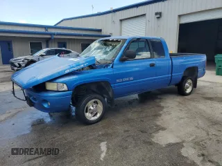 1999 Dodge 1500 z VIN 1B7HF13Y9XJ593371, wystawiony jako Copart lot #61255685 z przebiegiem 206 392 mil mil oraz Szkoda całkowita • Salvage title. Historia ofert i sprzedaży dostępna na DreamBid. Obrazek 1.