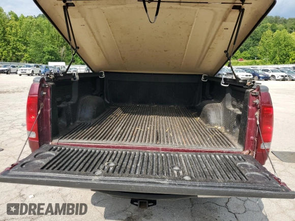 1999 Ford F-150 with VIN 1FTZF1823XNB69430, listed as a Copart auction lot 60218645 with Not provided miles and Salvage title. Bid and sale history available at DreamBid. Image 10.