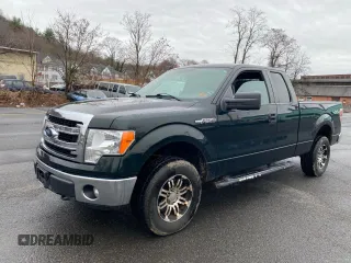 2013 Ford F-150 XL with VIN 1FTFX1EF5DKF06491, listed as a Copart auction lot 53860845 with 265,813 mi miles and Clean Title. Bid and sale history available at carsss.com. Image 2.