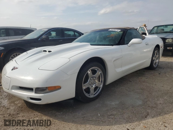 1999 Chevrolet Corvette with VIN 1G1YY32G6X5118308, listed as a Copart auction lot 74495224 with 0 mi miles and Non Repairable. Bid and sale history available at carsss.com. Image 1.