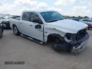 2010 Dodge 1500 SLT с VIN 1D7RB1CT3AS248252, выставлен на аукционе IAAI как лот 42373539 с пробегом 102 778 миль миль и . История ставок и продаж доступна на DreamBid. Изображение 1.