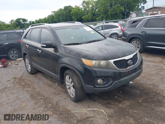 2011 Kia Sorento EX with VIN 5XYKU3A14BG015703, listed as a IAAI auction lot 42607024 with 176,491 mi miles and . Bid and sale history available at DreamBid. Image 1.