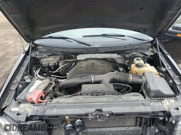 2013 Ford F-150 XL with VIN 1FTFW1ET8DFB03249, listed as a Copart auction lot 57122515 with 113,124 mi miles and Salvage title. Bid and sale history available at DreamBid. Image 11.