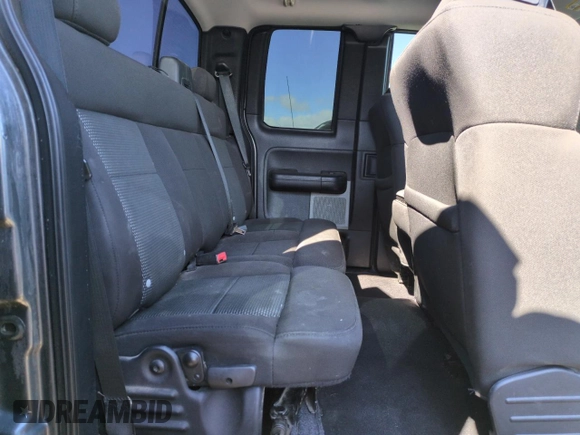 2006 Ford F-150 XLT with VIN 1FTPX14V46NB80441, listed as a Copart auction lot 46143795 with 193,600 mi miles and Salvage Title. Bid and sale history available at carsss.com. Image 10.