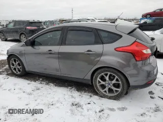 2014 Ford Focus SE with VIN 1FADP3K21EL394181, listed as a Copart auction lot 46388205 with 132,759 mi miles and Clean Title. Bid and sale history available at carsss.com. Image 2.