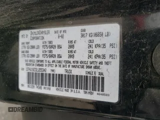 2002 Dodge 1500 z VIN 1D7HU18Z32J255342, wystawiony jako Copart lot #51678385 z przebiegiem 195 161 mil mil oraz Szkoda całkowita • Salvage title. Historia ofert i sprzedaży dostępna na DreamBid. Obrazek 13.