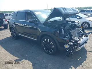 2023 Kia Telluride SX X-Pro с VIN 5XYP5DGC0PG343354, выставлен на аукционе IAAI как лот 42463746 с пробегом 30 916 миль миль и . История ставок и продаж доступна на DreamBid. Изображение 1.