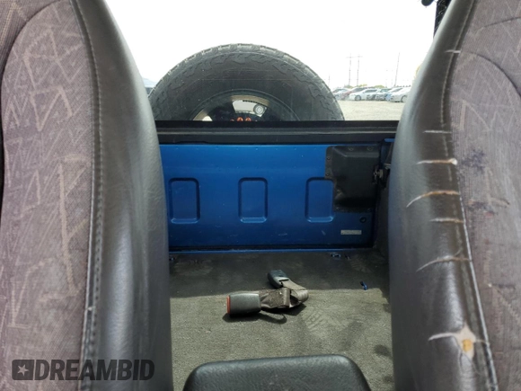 2002 Jeep Wrangler Sport with VIN 1J4FA49S32P762794, listed as a Copart auction lot 52132955 with 243,499 mi miles and Salvage Title. Bid and sale history available at carsss.com. Image 10.