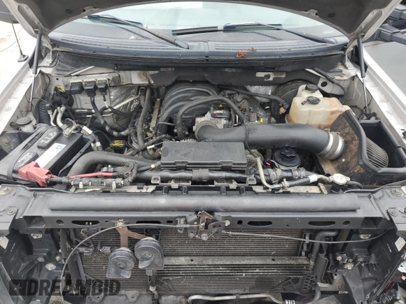 2010 Ford F-150 XL with VIN 1FTEW1C81AKB37935, listed as a Copart auction lot 62644595 with 185,465 mi miles and Salvage title. Bid and sale history available at DreamBid. Image 11.