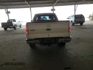 2009 Ford F-150 XL with VIN 1FTPX14V49FA89619, listed as a Copart auction lot 51645825 with 225,219 mi miles and Salvage Title. Bid and sale history available at carsss.com. Image 6.