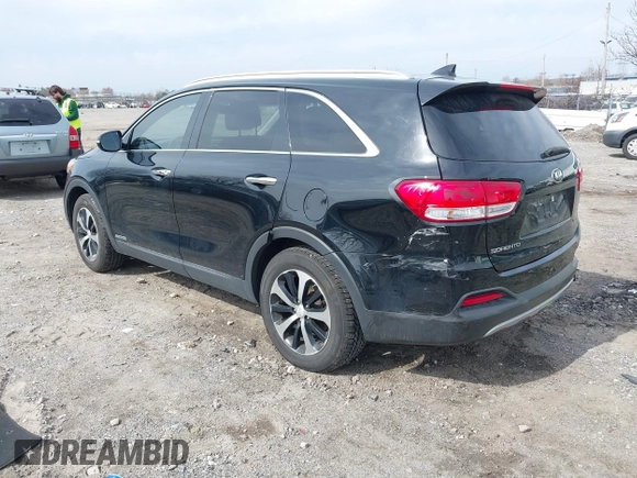 2017 Kia Sorento EX with VIN 5XYPHDA53HG304583, listed as a IAAI auction lot 41845911 with 109,169 mi miles and . Bid and sale history available at DreamBid. Image 3.