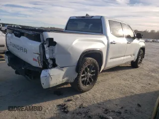 2022 Toyota Tundra Platinum with VIN 5TFNA5DB8NX014092, listed as a Copart auction lot 80914624 with 46,237 mi miles and Salvage title. Bid and sale history available at DreamBid. Image 3.