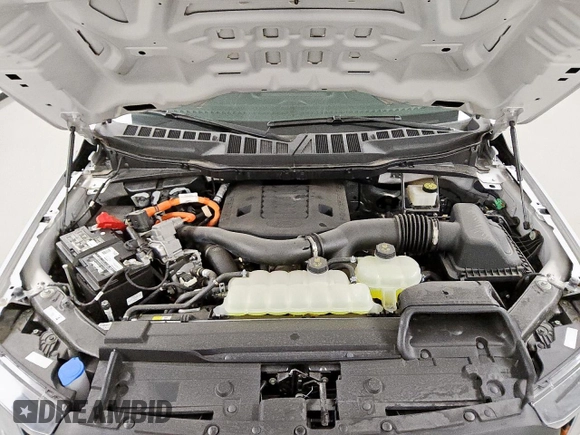 2023 Ford F-150 XL with VIN 1FTFW1ED2PFA88308, listed as a Copart auction lot 59336135 with 903 mi miles and Clean title. Bid and sale history available at DreamBid. Image 11.