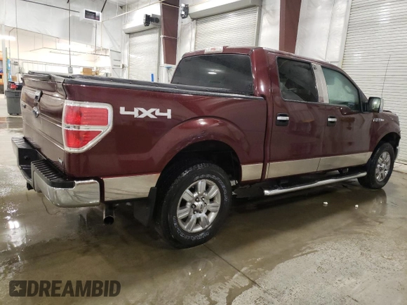 2010 Ford F-150 XL with VIN 1FTFW1EVXAKC19217, listed as a Copart auction lot 49967965 with 178,418 mi miles and Salvage Title. Bid and sale history available at carsss.com. Image 3.