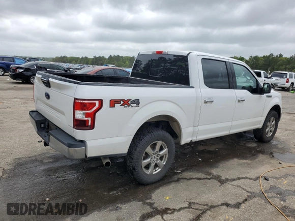 2019 Ford F-150 XL with VIN 1FTEW1E57KFB58804, listed as a Copart auction lot 51856495 with 97,597 mi miles and Clean Title. Bid and sale history available at carsss.com. Image 3.