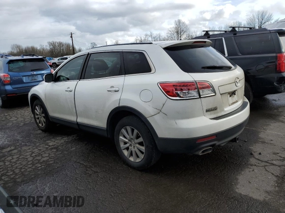 2009 Mazda CX-9 Touring with VIN JM3TB38V190170896, listed as a Copart auction lot 46803355 with 192,920 mi miles and Salvage Title. Bid and sale history available at carsss.com. Image 2.