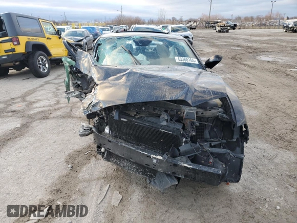 2014 Dodge Charger RT Plus with VIN 2C3CDXDT1EH221709, listed as a Copart auction lot 43380165 with 0 mi miles and Salvage Title. Bid and sale history available at carsss.com. Image 5.