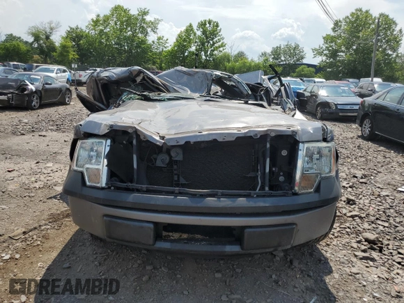 2014 Ford F-150 XL with VIN 1FTMF1CM7EKE51281, listed as a Copart auction lot 62495405 with Not provided miles and Salvage title. Bid and sale history available at DreamBid. Image 5.