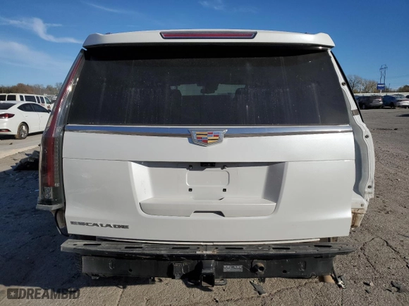 2020 Cadillac Escalade Premium Luxury with VIN 1GYS4CKJ2LR143417, listed as a Copart auction lot 80846294 with 79,568 mi miles and Salvage Title. Bid and sale history available at carsss.com. Image 6.