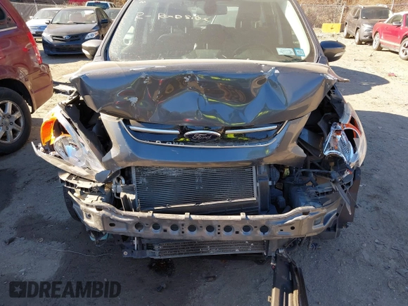 2016 Ford C-Max SEL with VIN 1FADP5BU3GL101218, listed as a IAAI auction lot 41292889 with 121,137 mi miles and . Bid and sale history available at DreamBid. Image 6.