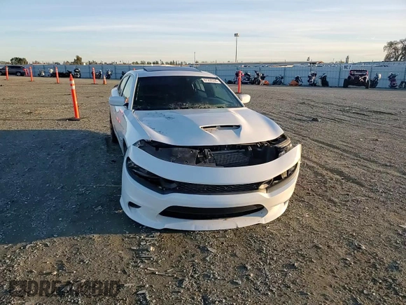 2019 Dodge Charger Scat Pack with VIN 2C3CDXGJXKH520282, listed as a Copart auction lot 87208244 with Not Provided miles and Salvage Title. Bid and sale history available at DreamBid. Image 10.