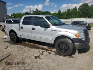 2009 Ford F-150 XL with VIN 1FTRW12WX9FB19889, listed as a Copart auction lot 60272775 with 155,783 mi miles and Salvage title. Bid and sale history available at DreamBid. Image 4.
