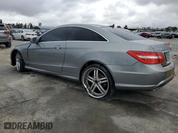2010 Mercedes-Benz E-Class E 550 with VIN WDDKJ7CB5AF046696, listed as a Copart auction lot 49076015 with 0 mi miles and Salvage Title. Bid and sale history available at carsss.com. Image 2.