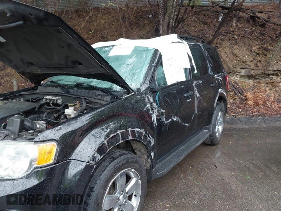 2011 Ford Escape XLT с VIN 1FMCU9DG1BKA73183, выставлен на аукционе IAAI как лот 42313916 с пробегом 96 296 миль миль и . История ставок и продаж доступна на DreamBid. Изображение 6.