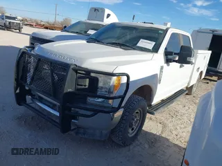 2017 Ford Super Duty F-250 SRW XL with VIN 1FD7W2B63HEE48575, listed as a IAAI auction lot 41666801 with 113,346 mi miles. Bid and sale history available at carsss.com. Image 17.