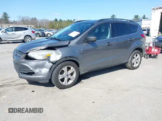 2014 Ford Escape SE with VIN 1FMCU0GX7EUC46334, listed as a IAAI auction lot 41932120 with 126,861 mi miles. Bid and sale history available at carsss.com. Image 2.