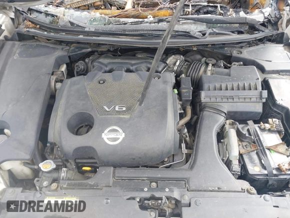 2009 Nissan Maxima SV with VIN 1N4AA51E29C824866, listed as a IAAI auction lot 41826379 with Not Provided miles and . Bid and sale history available at DreamBid. Image 10.