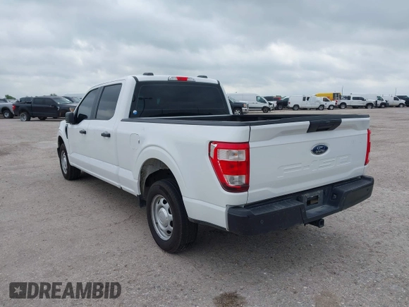2023 Ford F-150 XL with VIN 1FTEW1C52PKF75099, listed as a IAAI auction lot 42104465 with 42,025 mi miles and . Bid and sale history available at DreamBid. Image 3.