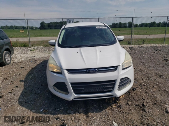 2013 Ford Escape SE with VIN 1FMCU0GX7DUC04518, listed as a Copart auction lot 64298255 with 97,090 mi miles and Clean title. Bid and sale history available at DreamBid. Image 5.
