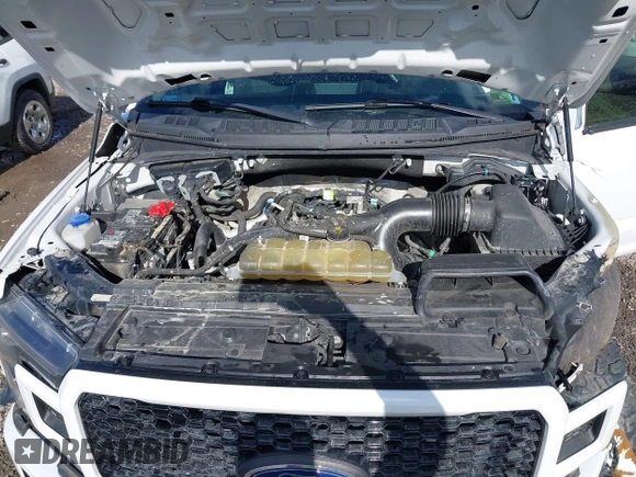 2019 Ford F-150 XL with VIN 1FTEW1EP8KKD11487, listed as a IAAI auction lot 41643388 with 109,881 mi miles and . Bid and sale history available at DreamBid. Image 10.