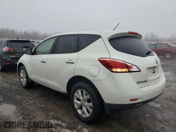 2013 Nissan Murano SL with VIN JN8AZ1MU5DW201560, listed as a Copart auction lot 45197645 with 141,242 mi miles and Clean Title. Bid and sale history available at carsss.com. Image 2.