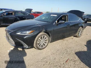 2019 Lexus ES 350 with VIN 58ABZ1B13KU032077, listed as a Copart auction lot 52381615 with 66,746 mi miles and Salvage title. Bid and sale history available at DreamBid. Image 1.