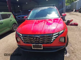 2023 Hyundai Tucson Limited with VIN 5NMJECAE0PH206589, listed as a IAAI auction lot 42198099 with 33,023 mi miles and . Bid and sale history available at DreamBid. Image 13.