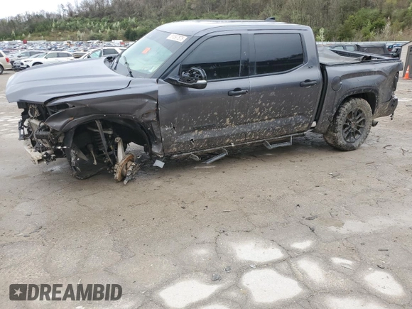 2023 Toyota Tundra SR5 with VIN 5TFLA5DB7PX064282, listed as a Copart auction lot 51097575 with Not provided miles and Salvage title. Bid and sale history available at DreamBid. Image 1.
